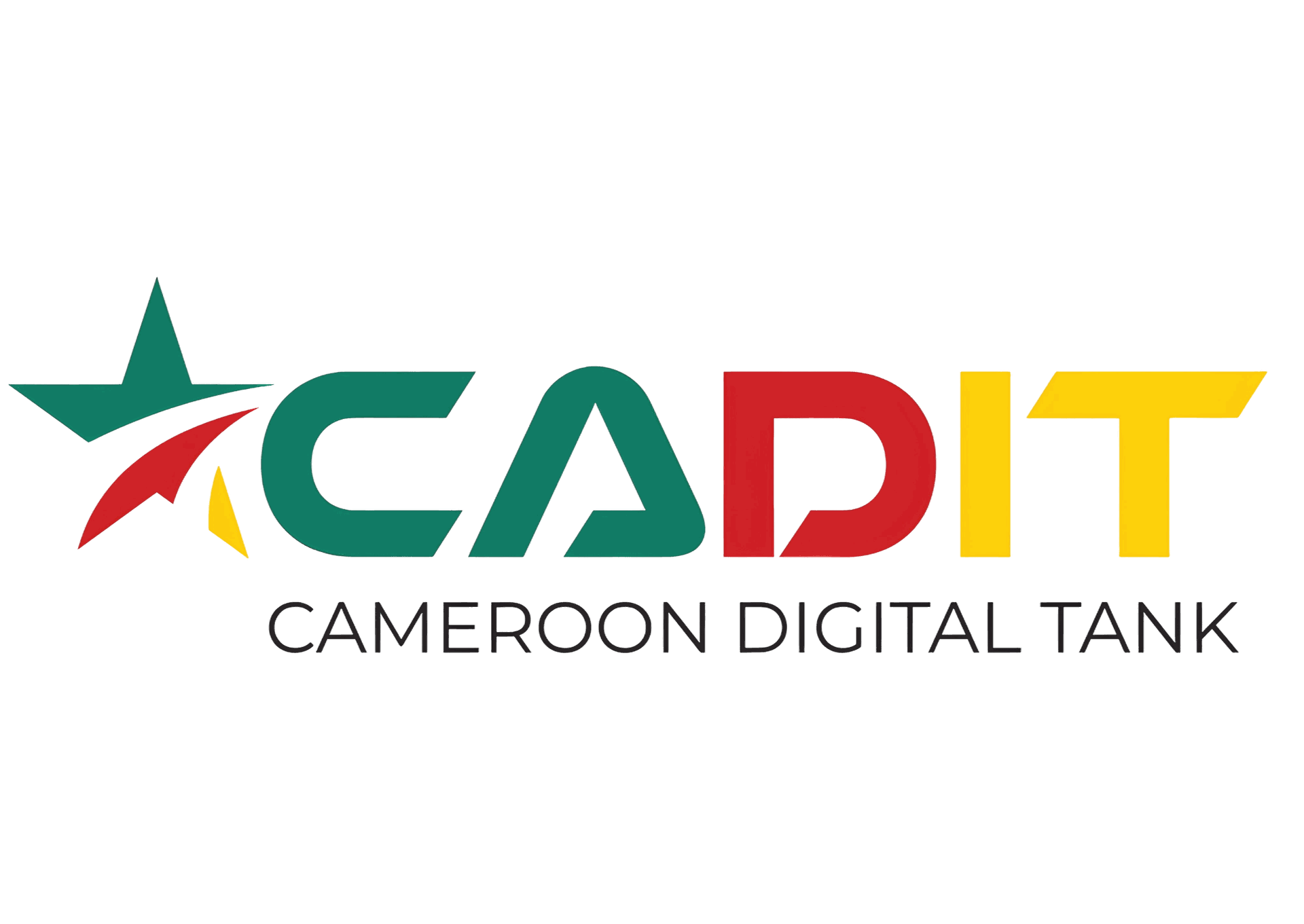 Cameroon Digital Think Tank