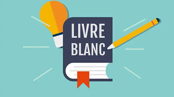 Livre Blanc